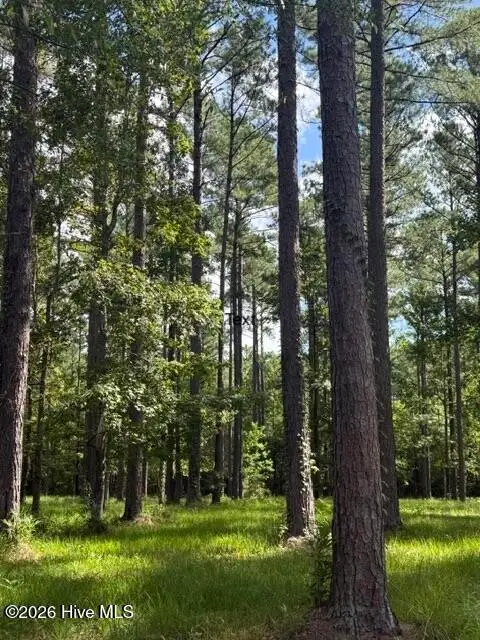 39 Corrolla Loop Road, Oriental, NC 28571 - #2