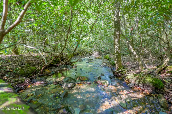 90 Ac Tree House Road, Andrews, NC 28901