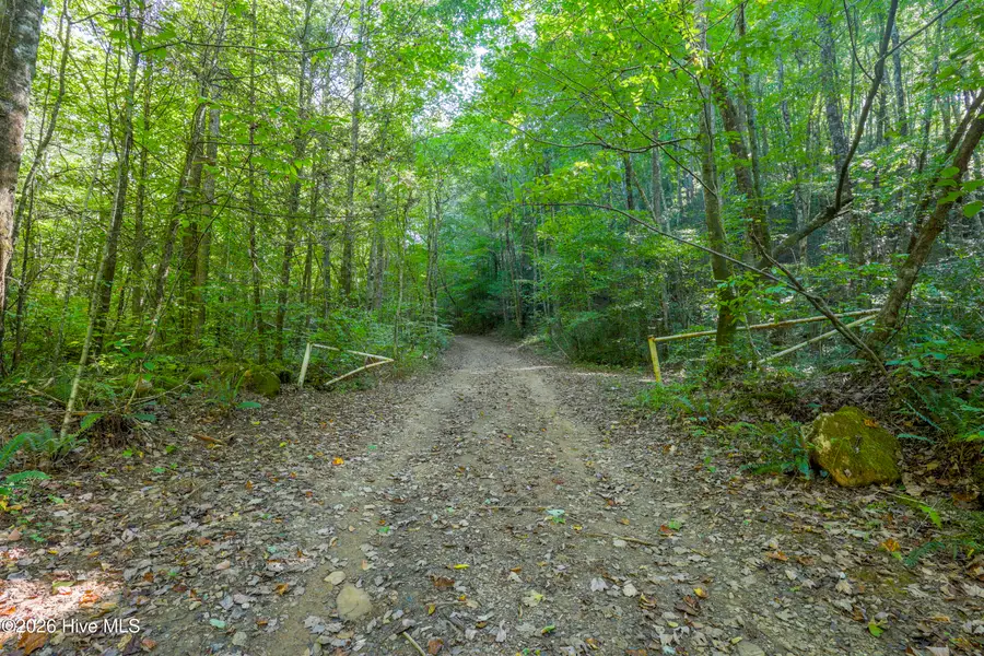 90 Ac Tree House Road, Andrews, NC 28901 - #2