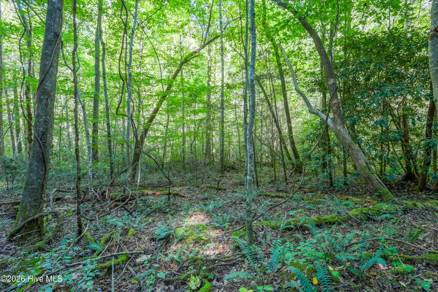 90 Ac Tree House Road, Andrews, NC 28901 - #3