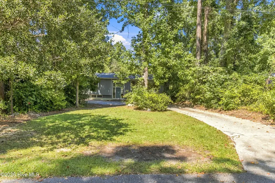 107 Tom Avenue, Castle Hayne, NC 28429 - #2