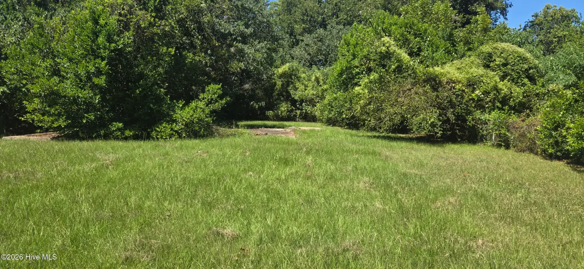121 Courtland Drive, Augusta, GA 30901 - #1