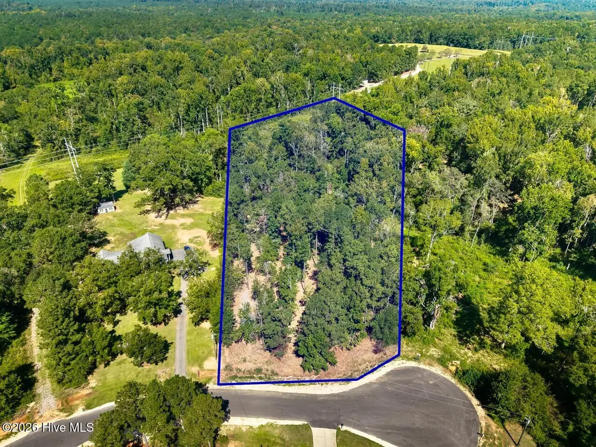 111 Vanna Lane, Waynesboro, GA 30830 - #1