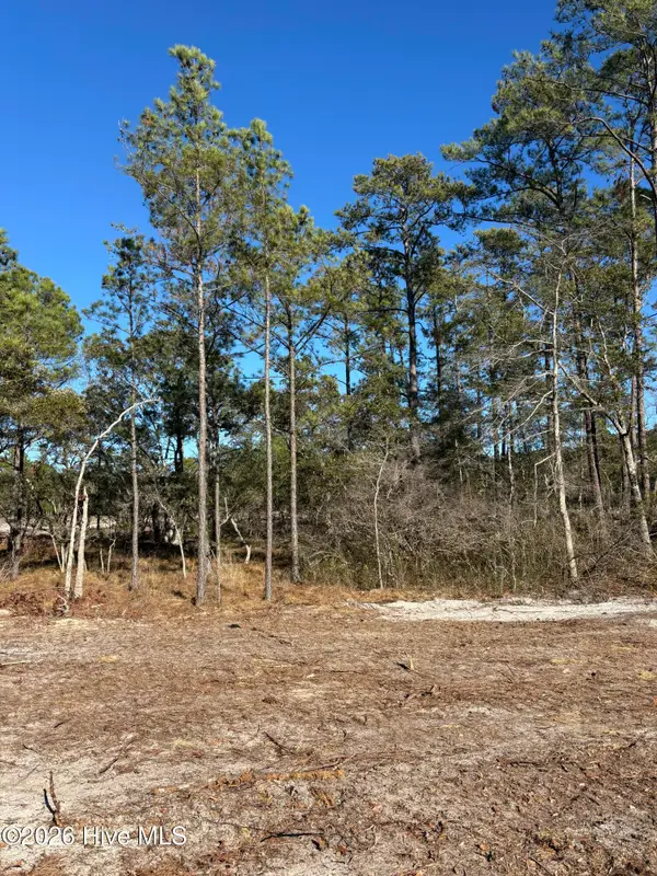 Lot 131 Coral Gull Street, Southport, NC 28461