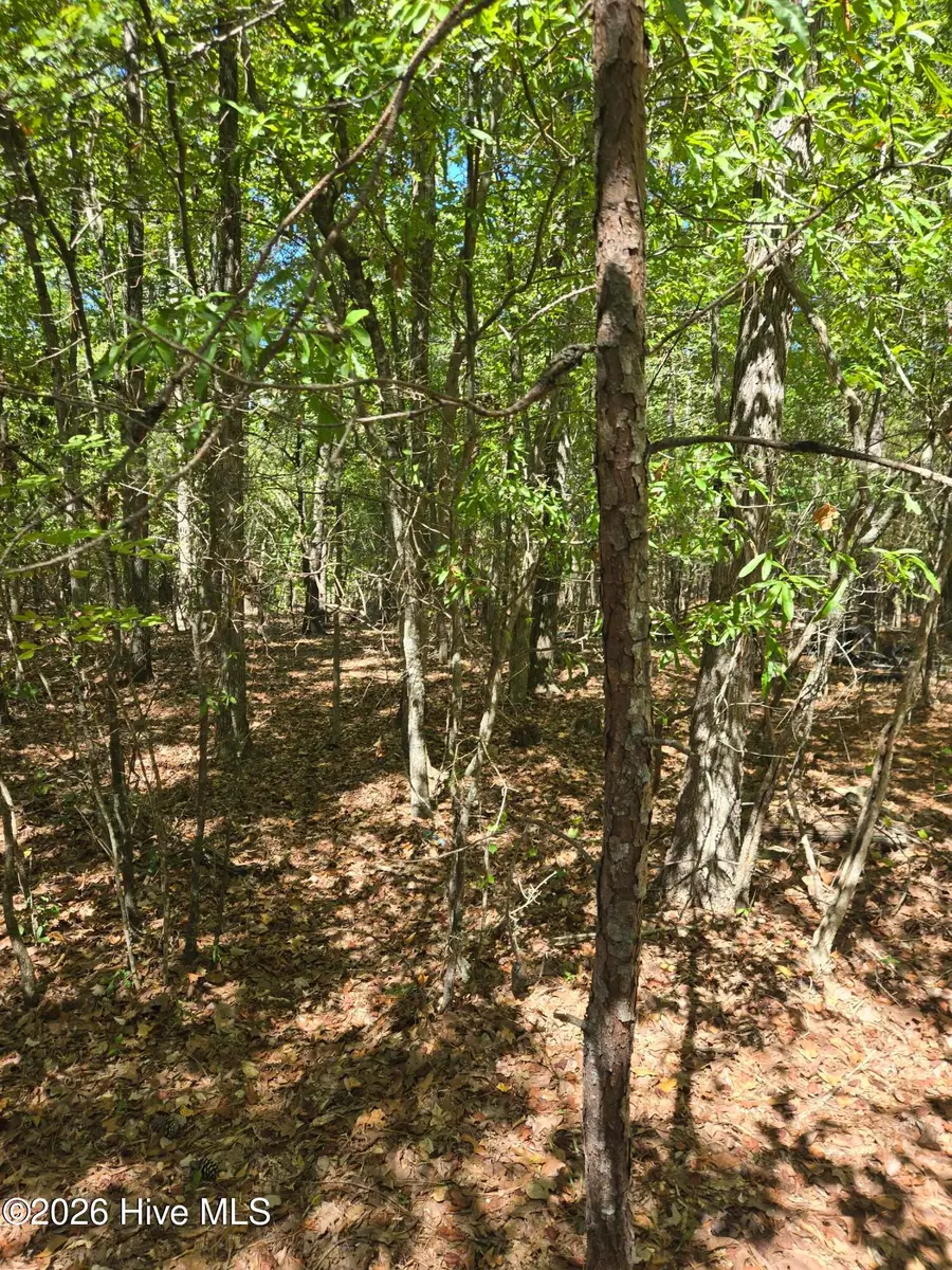 0 Partridge Town Rd Road, Lincolnton, GA 30817 - #3