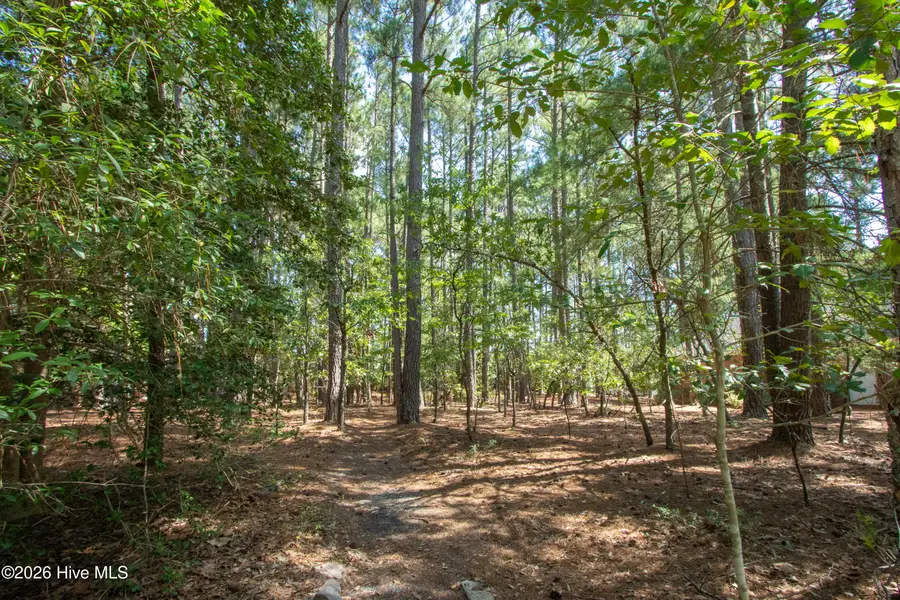 245 Pine Vista Drive, Pinehurst, NC 28374 - #3