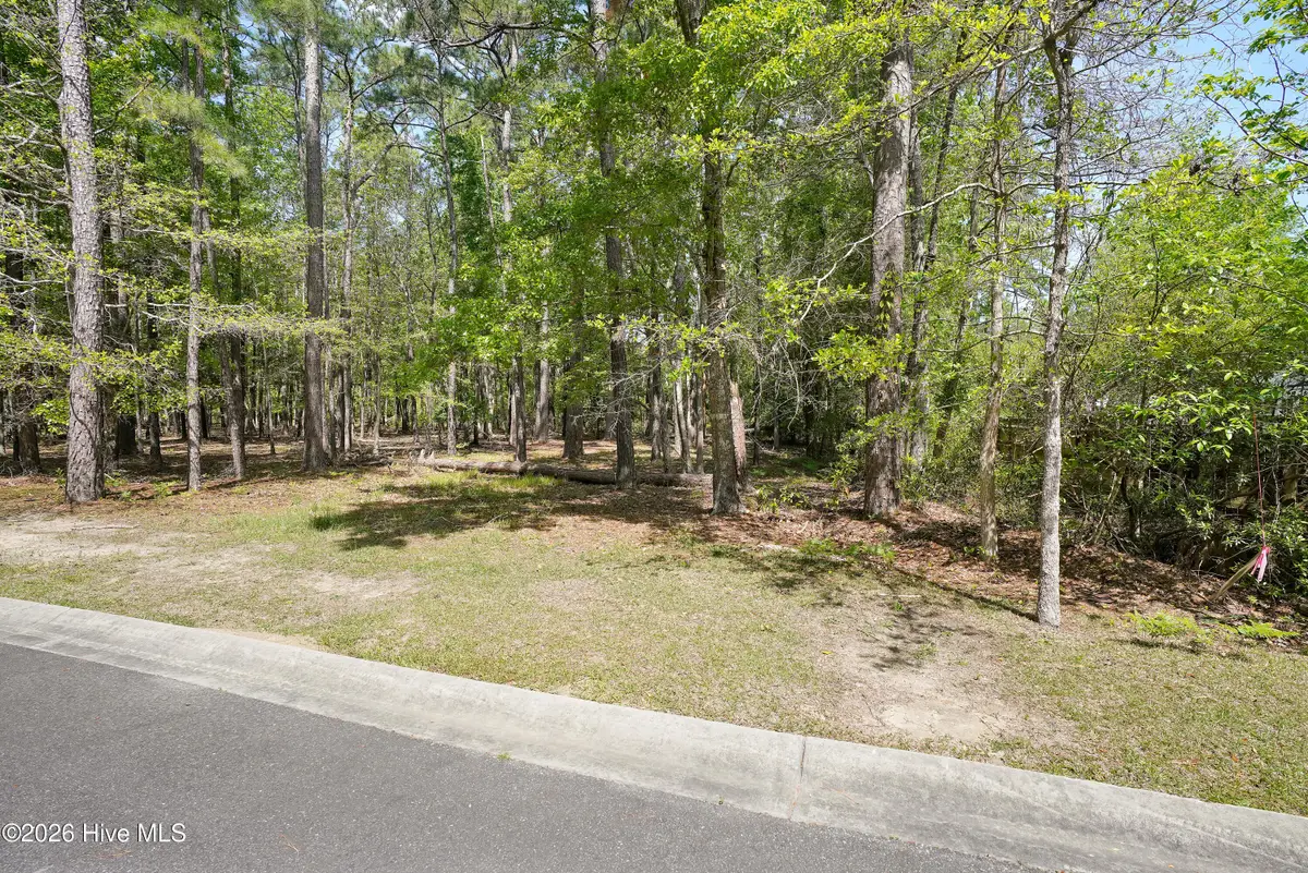 3496 Fairway Crest Drive Sw, Shallotte, NC 28470 - #1