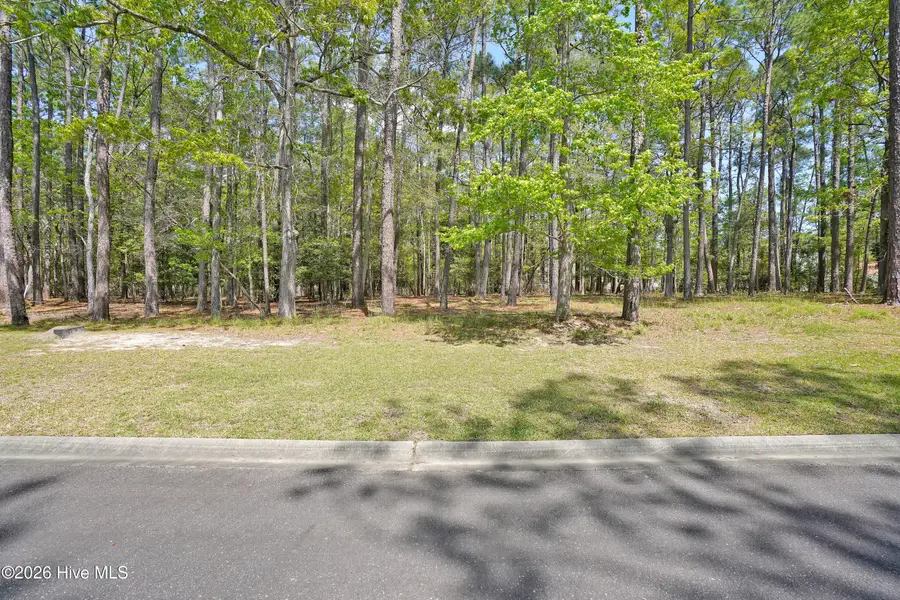 3736 Pine Brook Trail, Shallotte, NC 28470 - #2