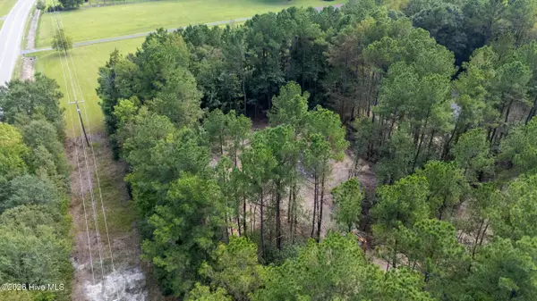 0 Us Hwy 117 N #Remnant, Willard, NC 28478