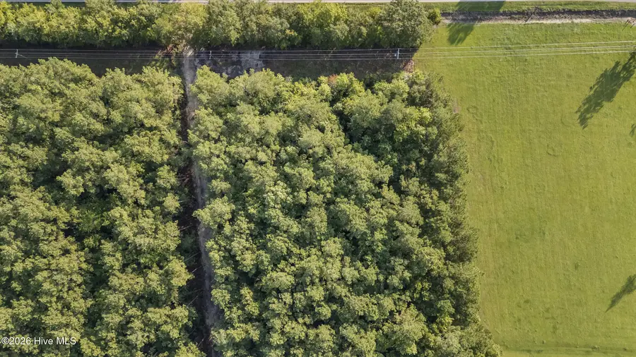 0 Us Hwy 117 N #Remnant, Willard, NC 28478 - #3
