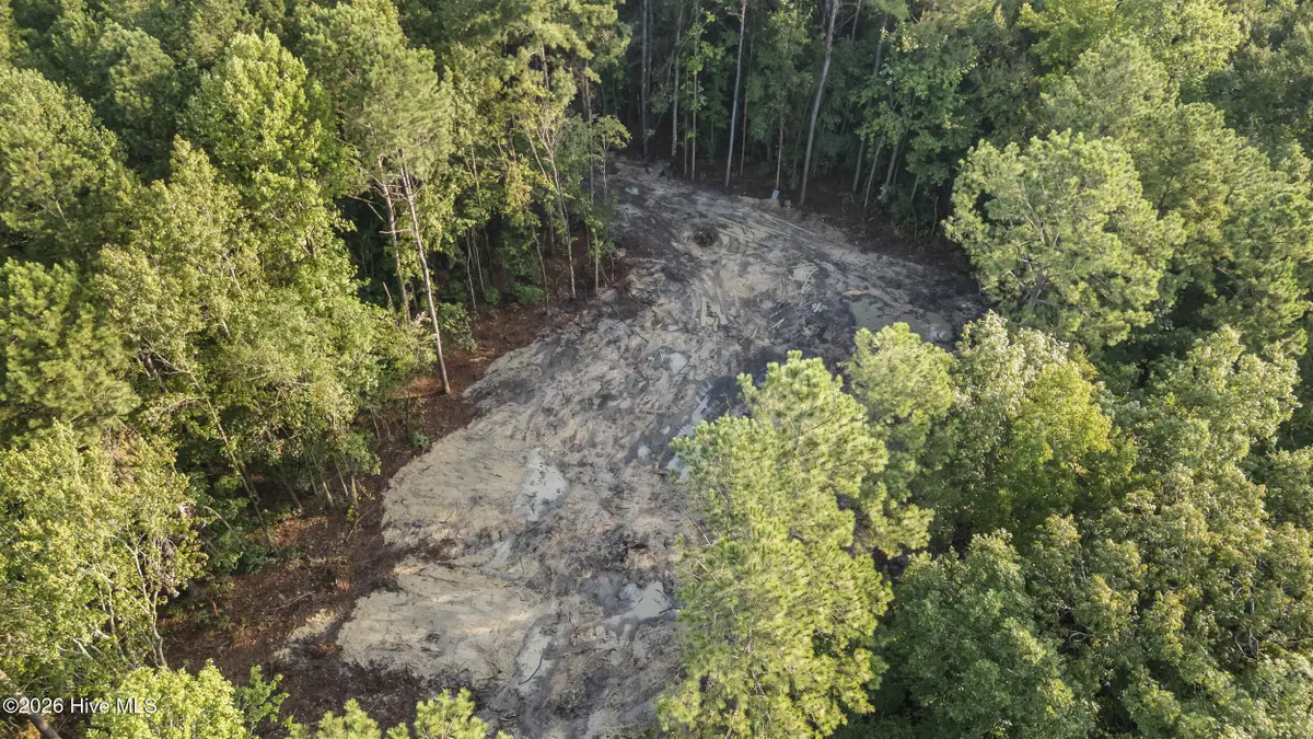 0 Us Hwy 117 N #Lot 2, Willard, NC 28478 - #1