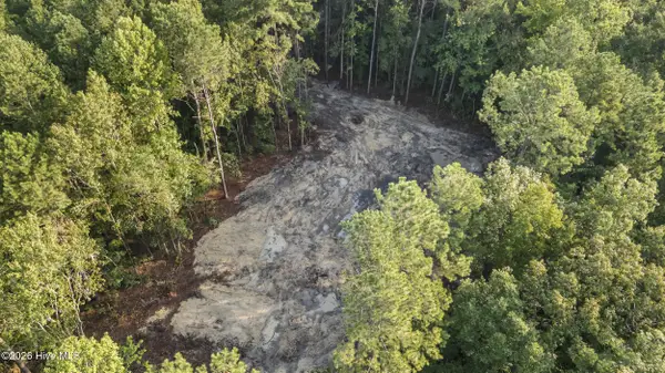 0 Us Hwy 117 N #Lot 2, Willard, NC 28478