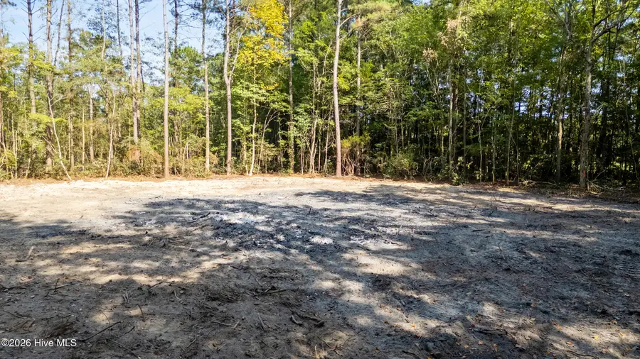 0 Us Hwy 117 N #Lot 2, Willard, NC 28478 - #3