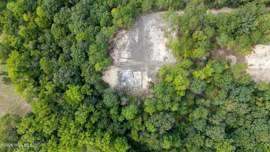 0 Us Hwy 117 N #Lot 3, Willard, NC 28478 - #3