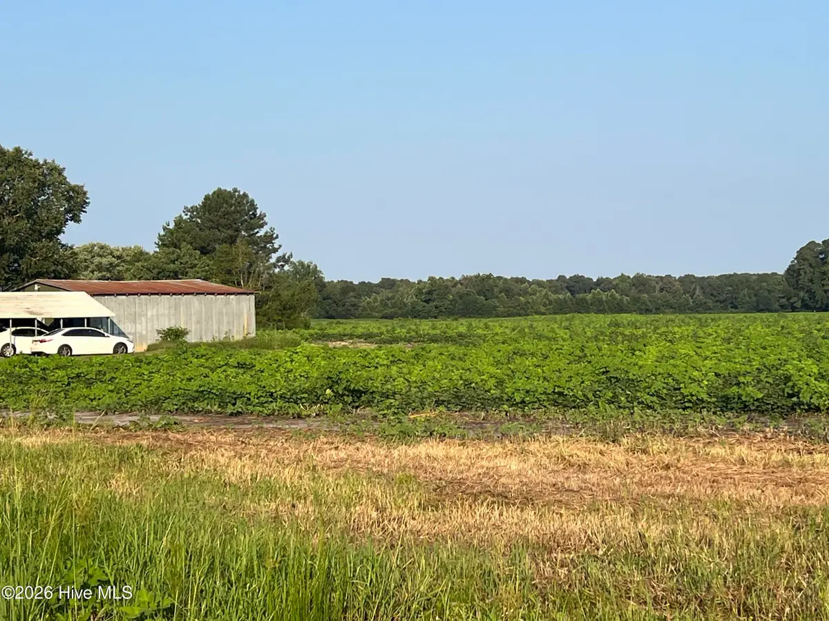 3541 Daughety White Road Road, Kinston, NC 28501 - #1