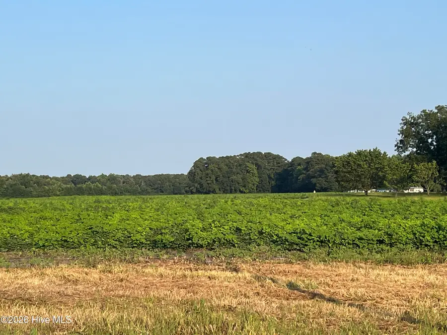 3541 Daughety White Road Road, Kinston, NC 28501 - #2