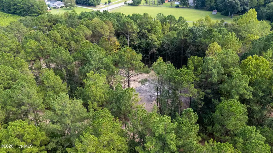 0 Us Hwy 117 N #Lot 1, Willard, NC 28478 - #2