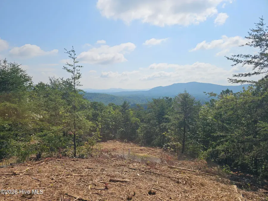 Lot 156 Crossover Lane, Murphy, NC 28906 - #2