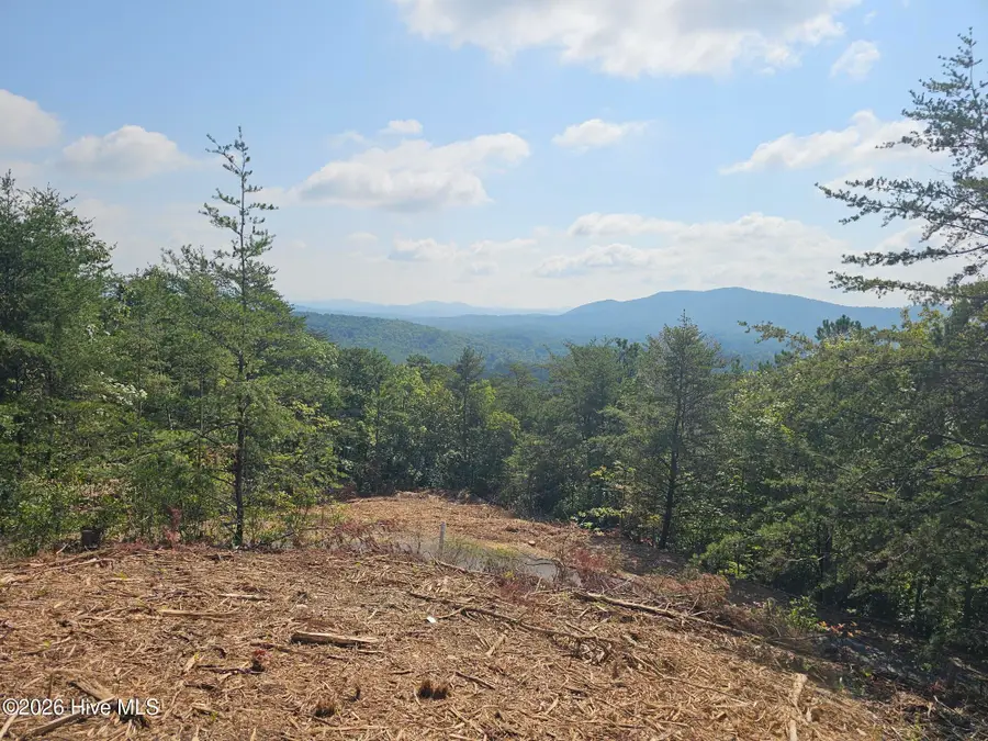 Lot 156 Crossover Lane, Murphy, NC 28906 - #3