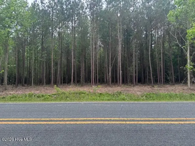1 Great Swamp Road, Ernul, NC 28527 - #1