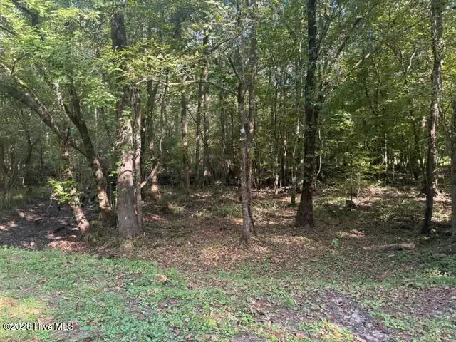 B02-16 Olympia Road, New Bern, NC 28560 - #2