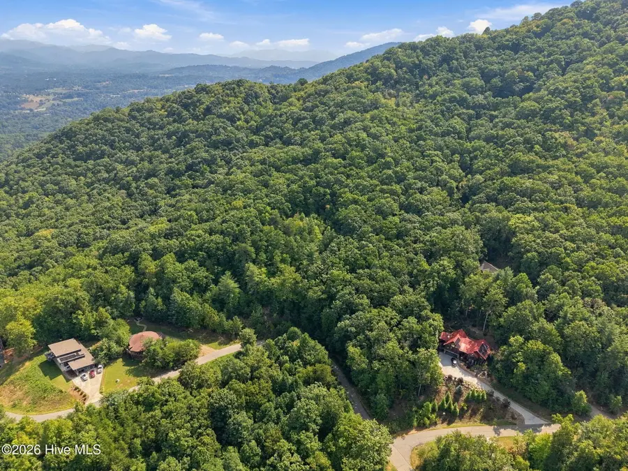 75 Balsamwood Road, Leicester, NC 28748 - #2