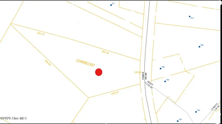 Lot G Tobes Road, Bolivia, NC 28422 - #3