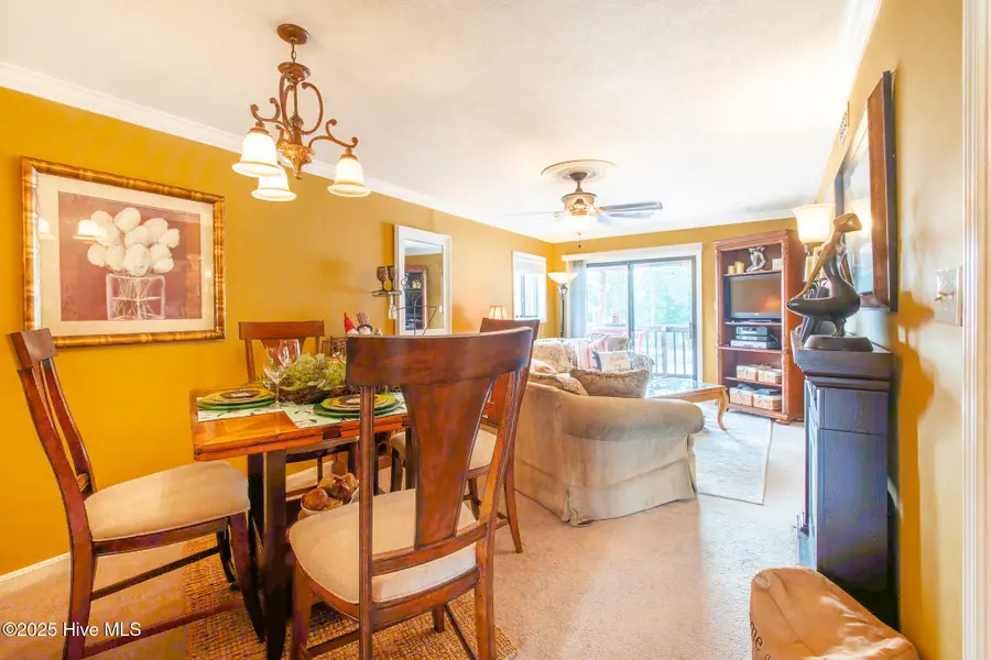 310 Lake Place Condo Drive #310, Elizabethtown, NC 28337 - #3