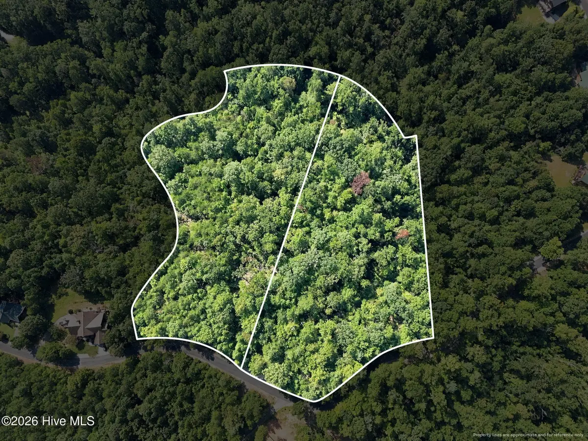0 Nathan Mcdaniel Drive, Nebo, NC 28761 - #1