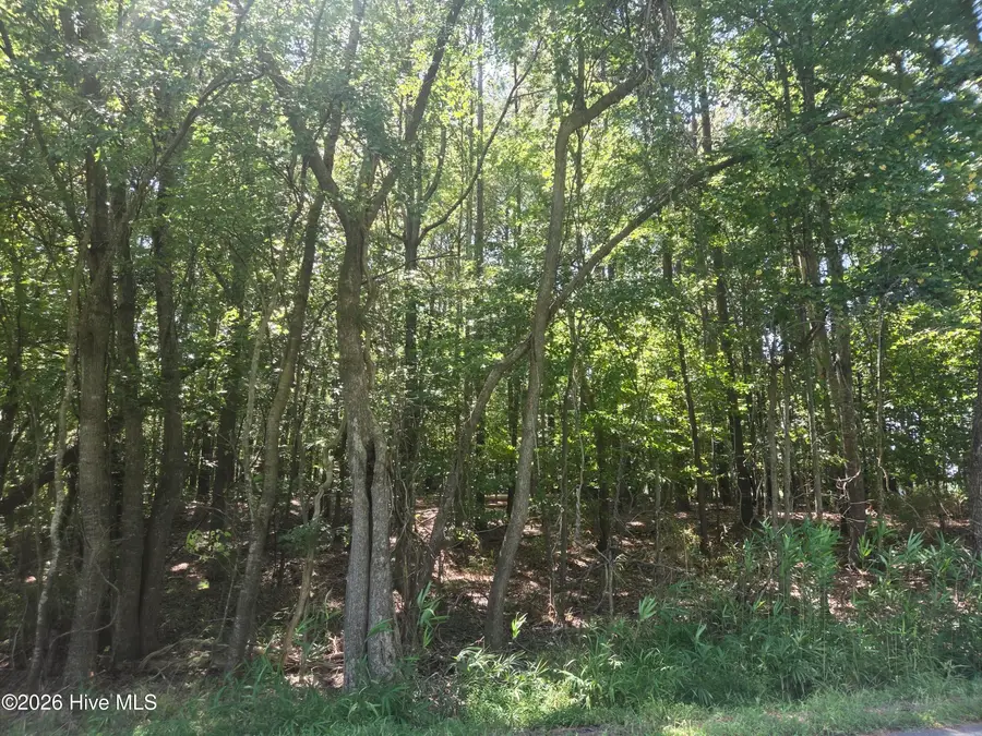 000 Camp Cale Road, Hertford, NC 27944 - #2