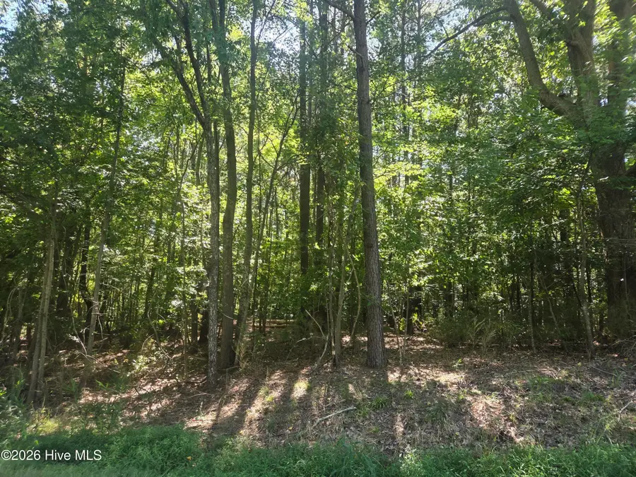 000 Camp Cale Road, Hertford, NC 27944 - #3