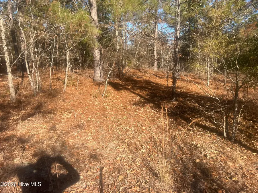 0 Golden Eagle Lane, Hephzibah, GA 30815 - #2