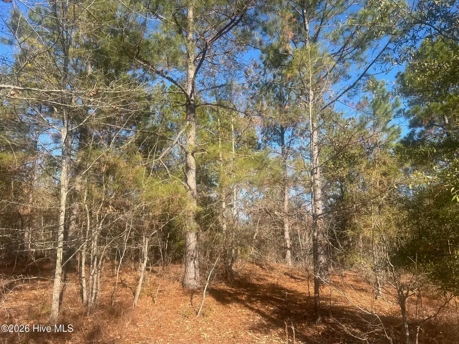 0 Golden Eagle Lane, Hephzibah, GA 30815 - #3