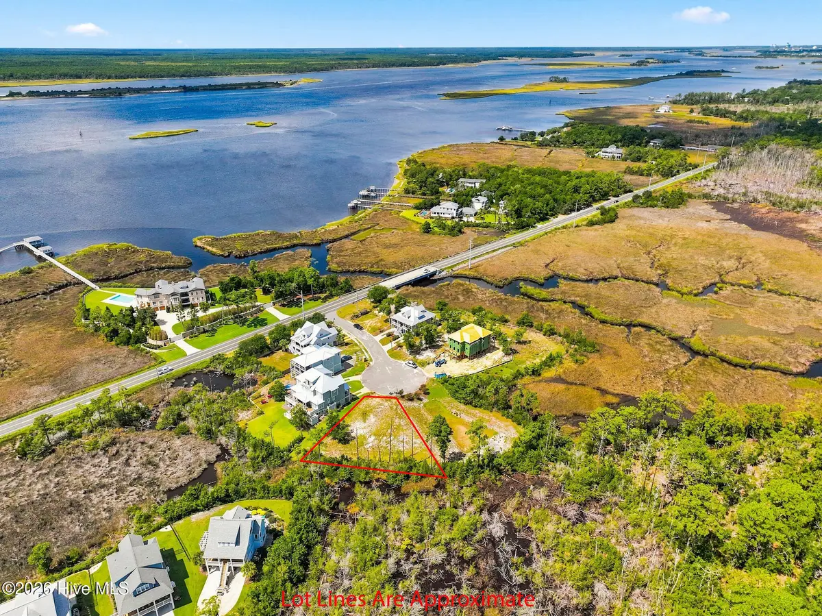 116 Mistiflower Court, Wilmington, NC 28412 - #1