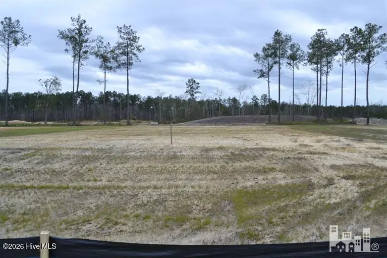 2072 Ballenger Ridge Circle, Leland, NC 28451 - #2