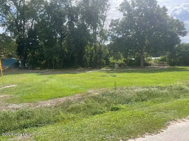 201 Midway Drive, Bladenboro, NC 28320 - #2