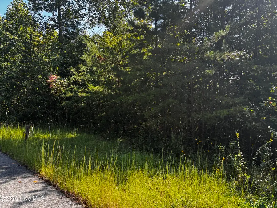 00 Highland Ridge Trail, Murphy, NC 28906 - #3