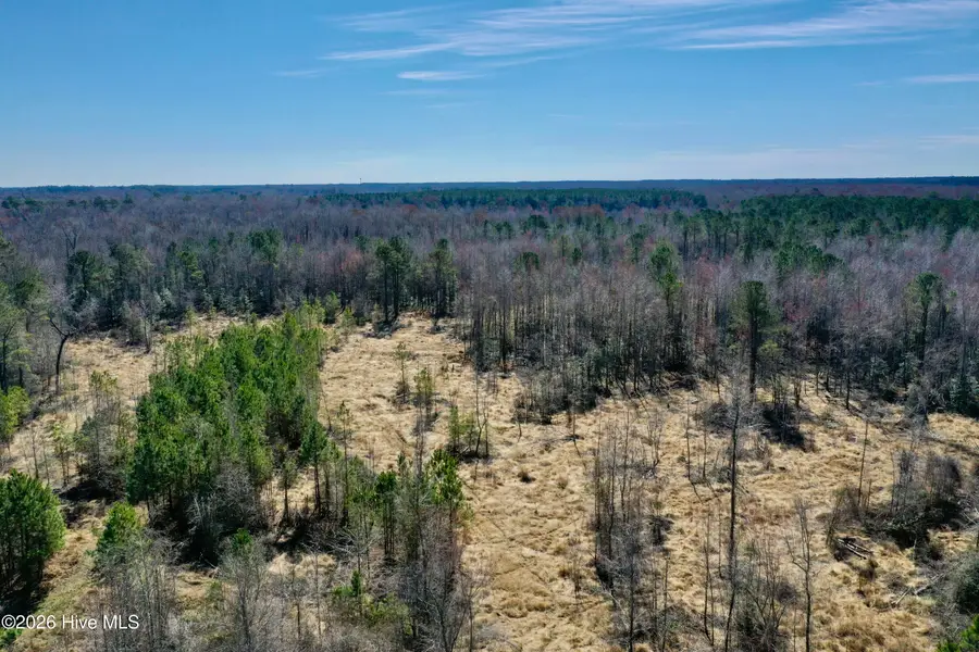 Tract 1 Haynes Lennon Highway, Cerro Gordo, NC 28430 - #3