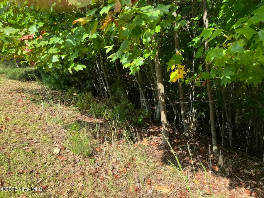 9 Yellow Maple Drive, Murphy, NC 28906 - #3