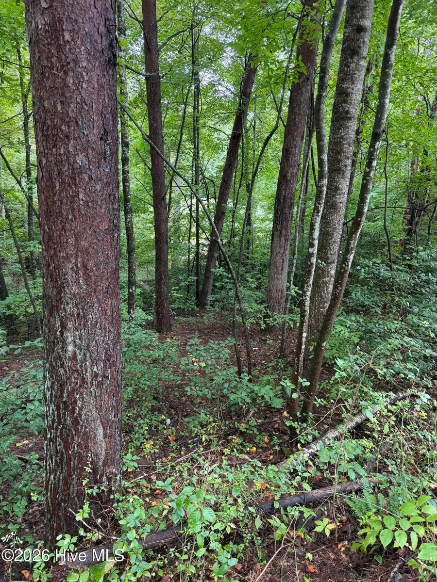 0 Little Wolfcreek Road, Murphy, NC 28906 - #2