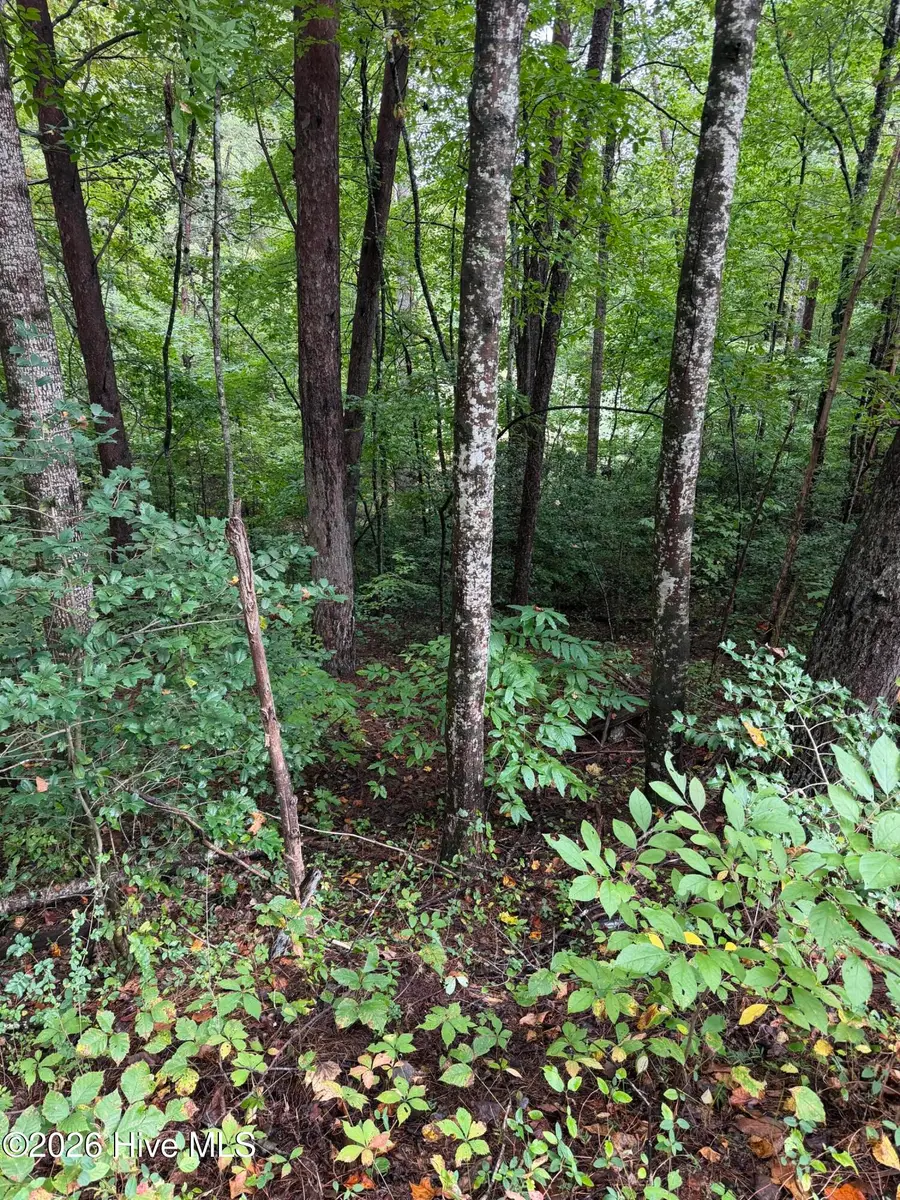 0 Little Wolfcreek Road, Murphy, NC 28906 - #3