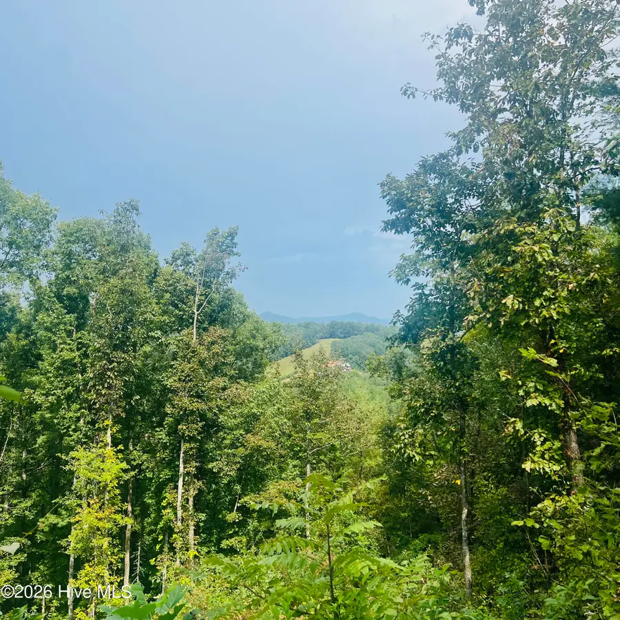 1005 Cliff Raper Road, Murphy, NC 28906 - #2