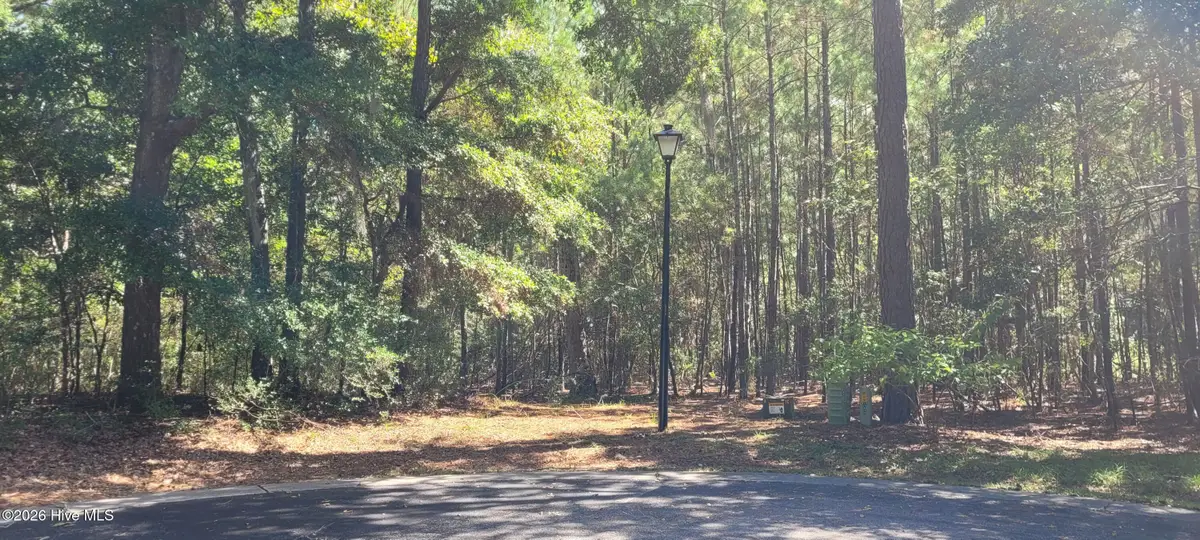 3570 Red Berry Court Sw, Supply, NC 28462 - #1