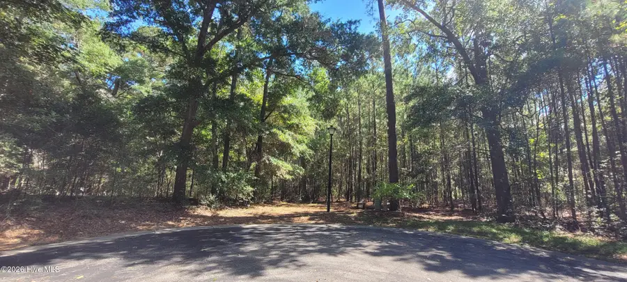 3570 Red Berry Court Sw, Supply, NC 28462 - #2