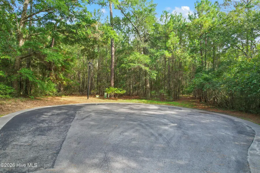 3570 Red Berry Court Sw, Supply, NC 28462 - #3