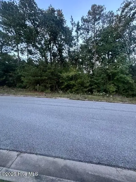 3915 Bolton Street, Augusta, GA 30909 - #2