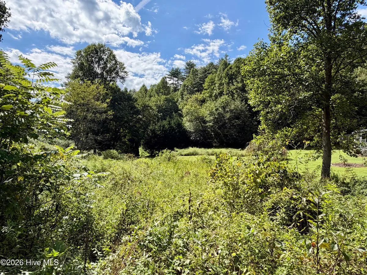 71 Heather Ash Brook Drive, Robbinsville, NC 28771 - #1