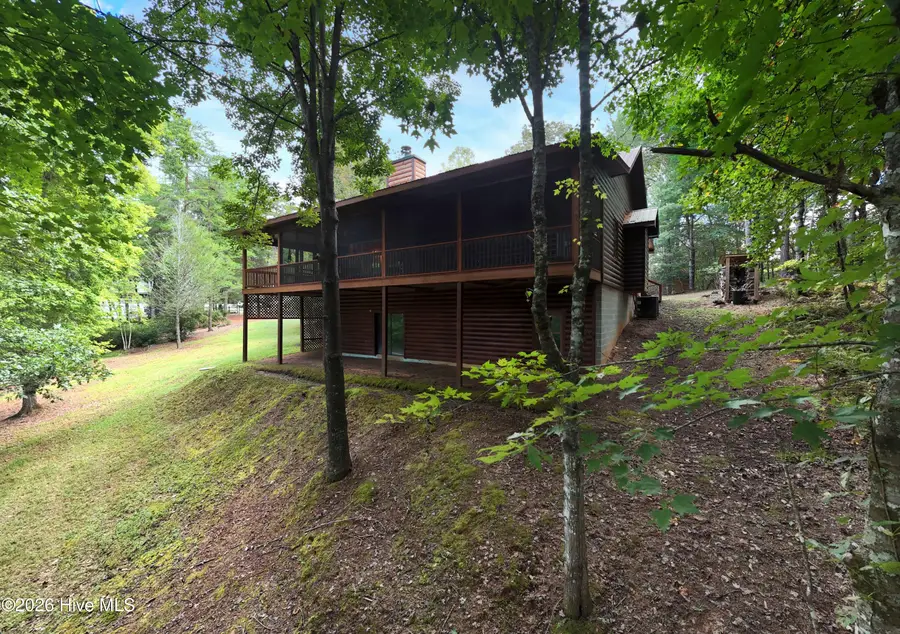 364 Brasstown Hills Road, Brasstown, NC 28902 - #3