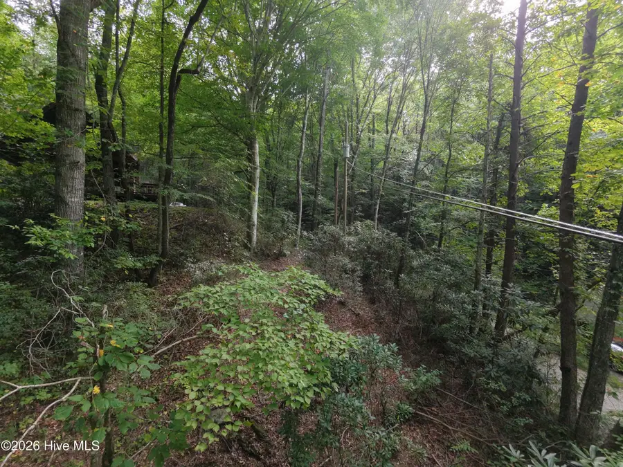 00 Collett Creek Road, Andrews, NC 28901 - #2