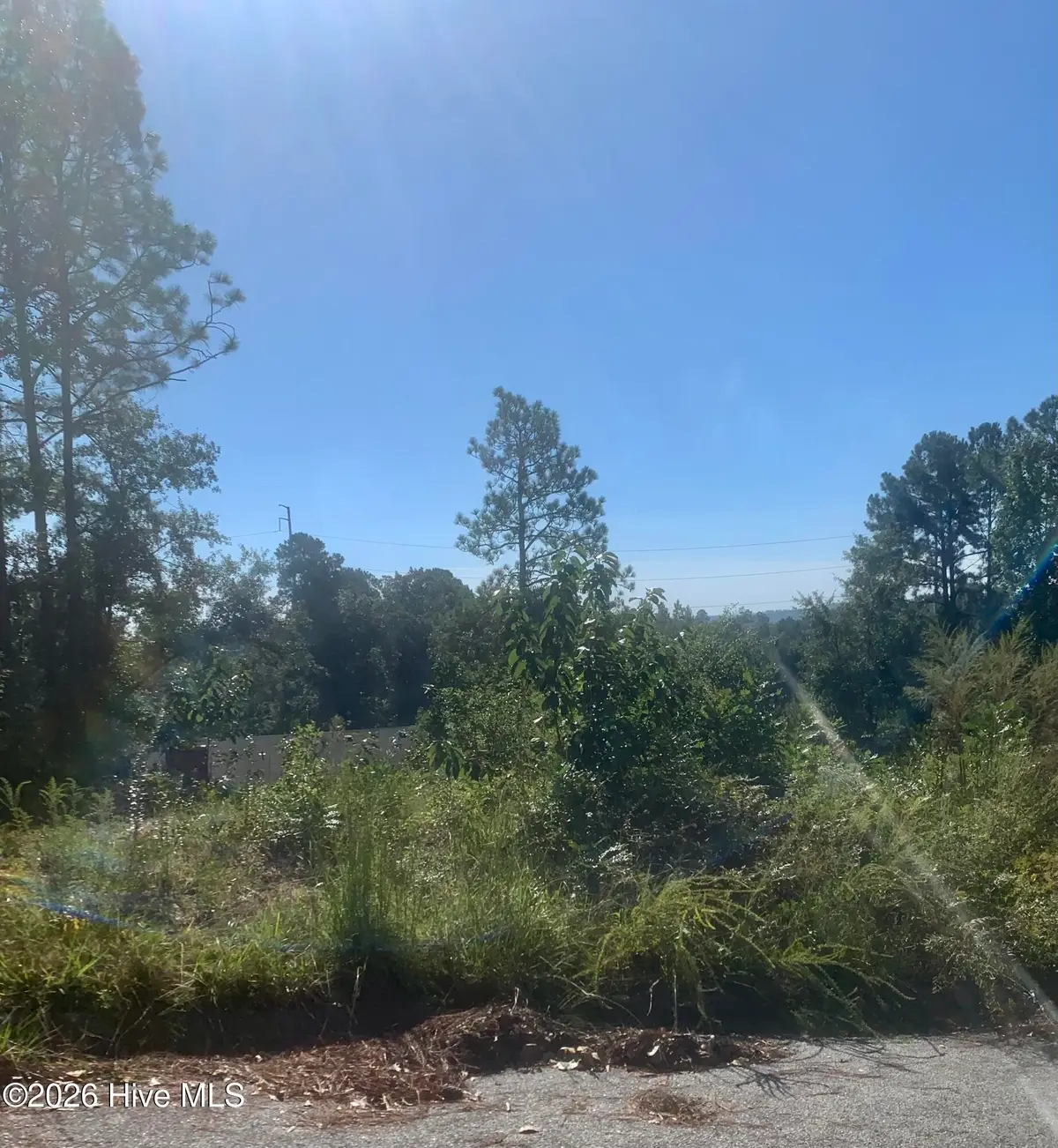 2333 Rutherford Avenue, Augusta, GA 30906 - #1